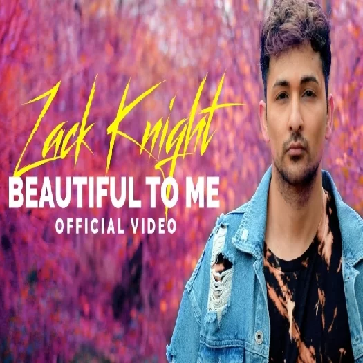Beautiful To Me Zack Knight Mp3 Song Download
