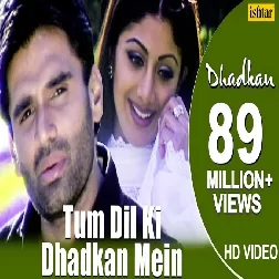 Tum Dil Ki Dhadkan Mein Abhijeet, Alka Yagnik Mp3 Song Download