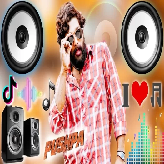 Teri Jhalak Asharfi Srivalli New Hindi Viral Dj Remix Song
