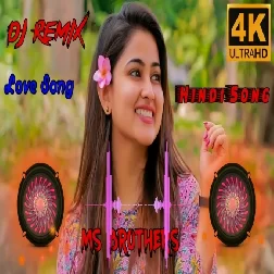 Hadh Kardi Aapne Hindi Viral Dj Remix Songs