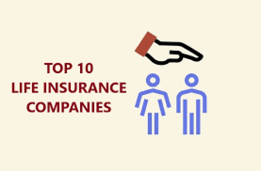 Top 10 Insurance Companies in the USA